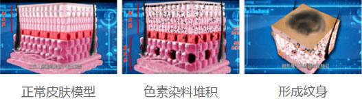 纹身图解